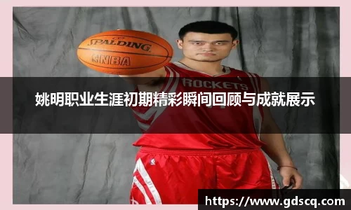 姚明职业生涯初期精彩瞬间回顾与成就展示