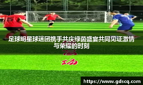 足球明星球迷团携手共庆绿茵盛宴共同见证激情与荣耀的时刻