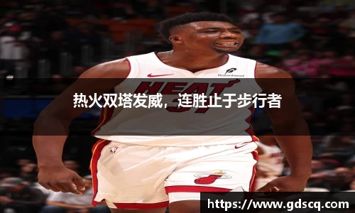 热火双塔发威，连胜止于步行者