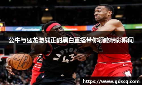 公牛与猛龙激战正酣黑白直播带你领略精彩瞬间