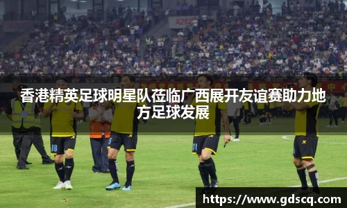 香港精英足球明星队莅临广西展开友谊赛助力地方足球发展